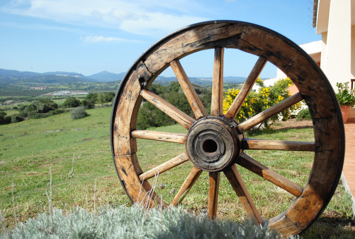 azienda turistica